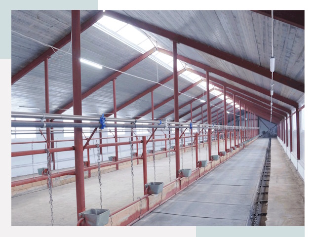 Строительство коровников в Полысаево от 617 руб.