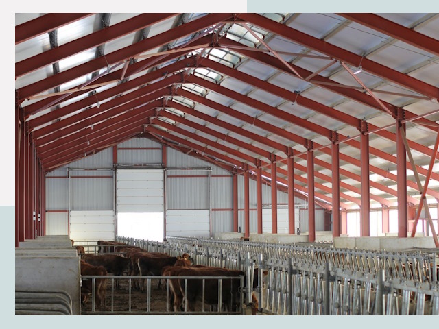 Строительство коровников в Полысаево