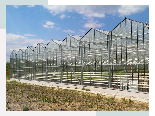 Строительство теплиц в Полысаево от 617 руб. за м²