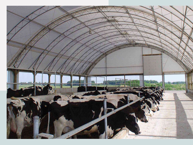 Тентовые коровники в Полысаево